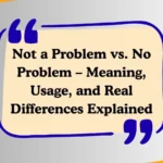 Not a Problem vs. No Problem – Meaning, Usage, and Real Differences Explained