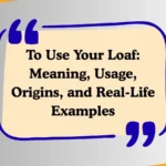 To Use Your Loaf: Meaning, Usage, Origins, and Real-Life Examples