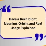 Have a Beef Idiom: Meaning, Origin, and Real Usage Explained