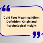 Cold Feet Meaning: Idiom Definition, Origin and Psychological Insight