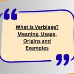 What Is Verbiage? Meaning, Usage, Origins and Examples