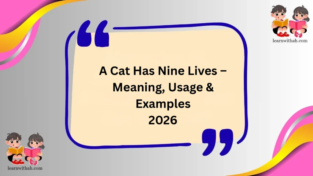 A Cat Has Nine Lives – Meaning, Usage & Examples