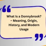 What Is a Donnybrook? – Meaning, Origin, History, and Modern Usage